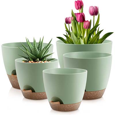 Self-Watering Indoor Planters