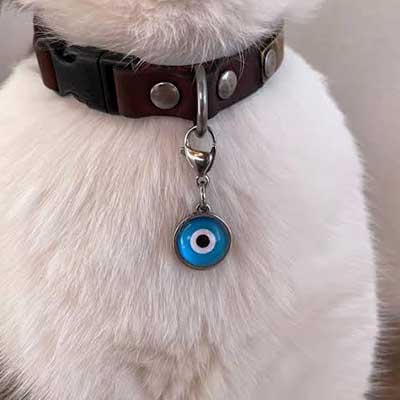 Stewit Evil Eye Charm