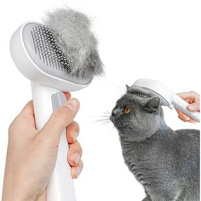 Best Cat Brush for Shedding 1 Best Cat Brush for Shedding