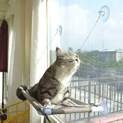 Best Cat Bed Window, Cat Window Hammock 360° 1 Best Cat Bed Window, Cat Window Hammock 360°