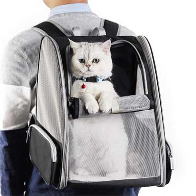 Best Traveler Bubble Backpack Pet Carriers for Cats and Dogs 1 Best Traveler Bubble Backpack Pet Carriers for Cats and Dogs