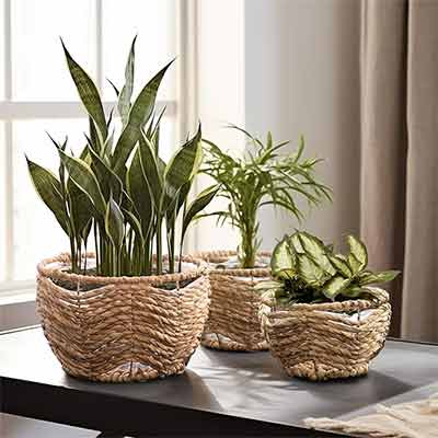Top 10 Home Decoration Items for the Living Room 4 Top 10 Home Decoration Items for the Living Room